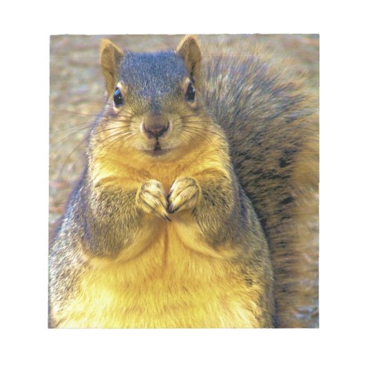 Liefde eekhoorn_ notitieblok (Voorkant)