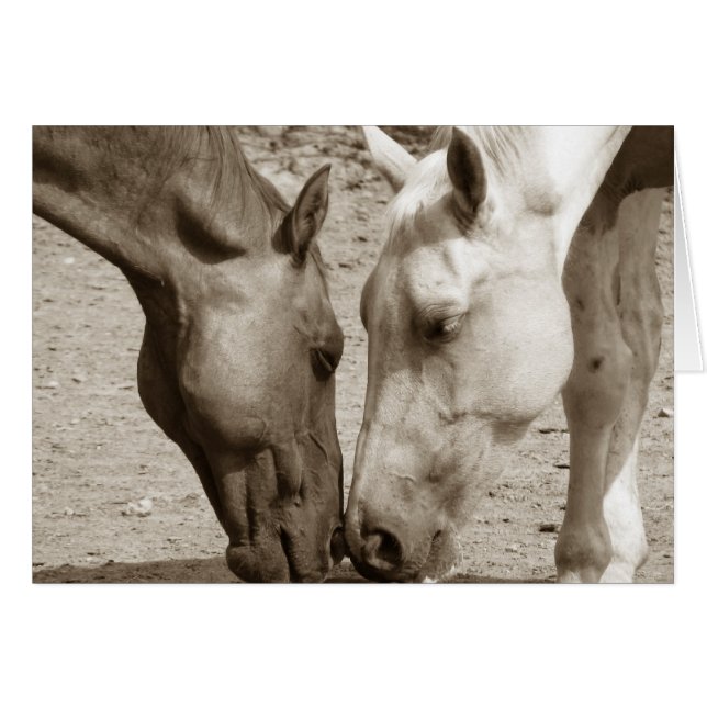 Liefde een ander (Voorkant Horizontaal)