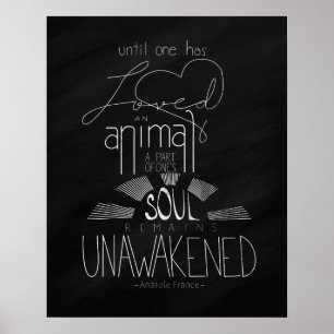 Liefde een dierlijk Anatole France Hand Lettered P Poster