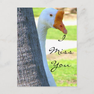 Liefde/elke gelegenheid_Briefkaart Briefkaart