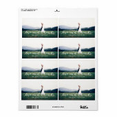 Liefde en Bedankt Eenvoudig script, volledige foto Etiket (Full Sheet)