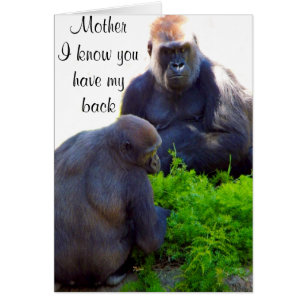 Liefde en bescherming_