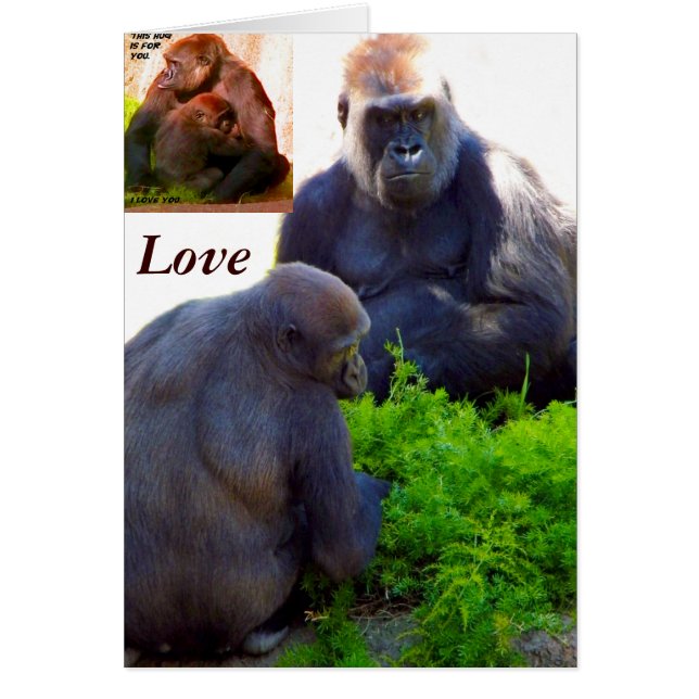 Liefde en bescherming_ (Voorkant)