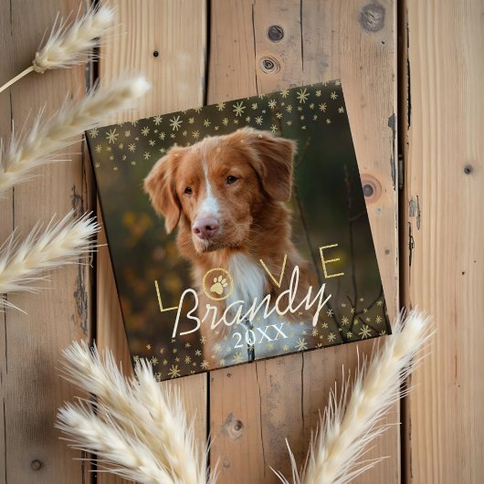 Liefde en herinneringen | Holiday Stars Pet Memori Magneet