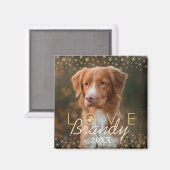 Liefde en herinneringen | Holiday Stars Pet Memori Magneet (Voorkant / Achterkant)