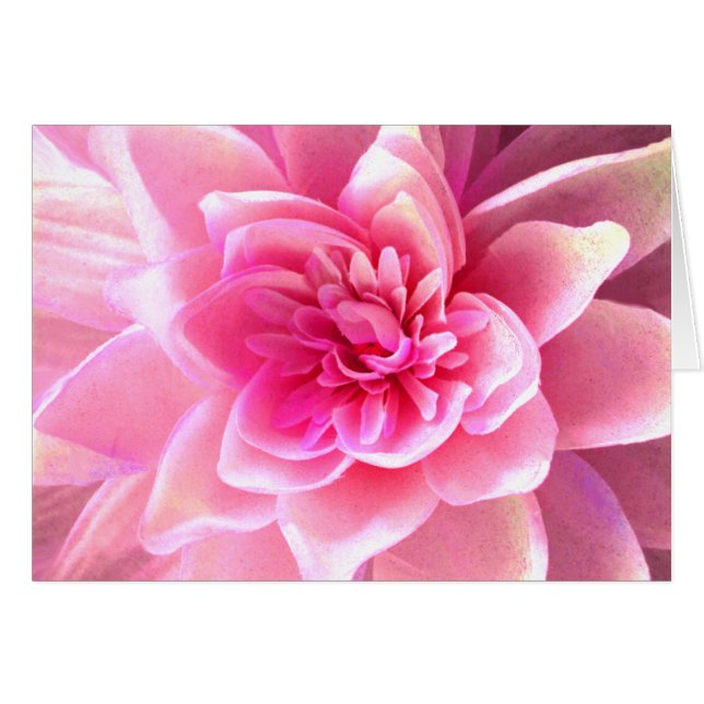 Liefde en passie_ (Voorkant Horizontaal)