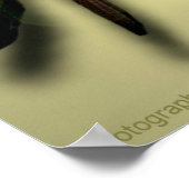 Liefde en respect Quote Poster (Hoek)