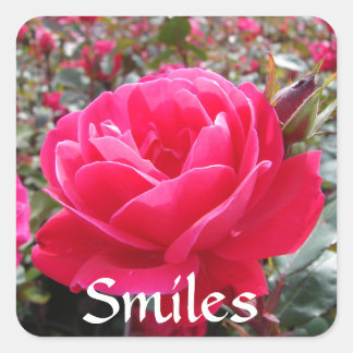 Liefde en Romance Smiles Pink Rose Love Stickers