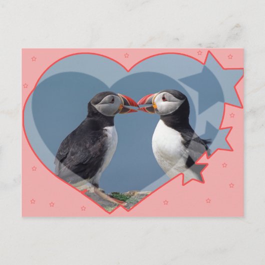 Liefde en vogels briefkaart (Voorkant)
