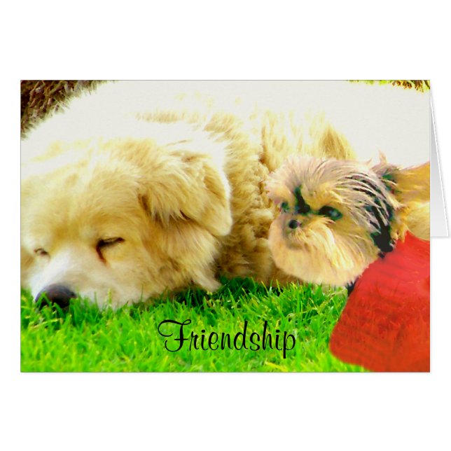 Liefde en zorg, Honden_ (Voorkant Horizontaal)