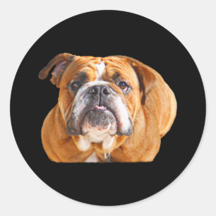 Liefde Engels Bulldog hondengezicht - bruine masco Ronde Sticker