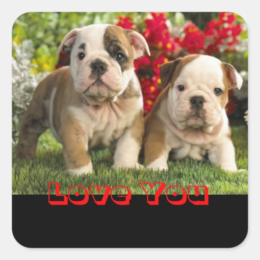 Liefde Engels Bulldog Puppy Dog Groet Sticker (Voorkant)