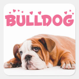 Liefde Engels Bulldog Puppy Dog Pink Hearts Sticke Vierkante Sticker
