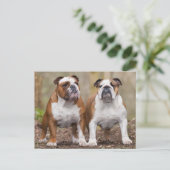 Liefde Engels Bulldog Puppy Dog Post Kaart (Staand voorkant)