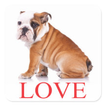 Liefde Engels Bulldog Puppy Dog Sticker / zeehond