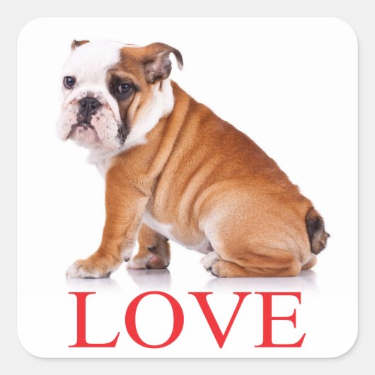 Liefde Engels Bulldog Puppy Dog Sticker / zeehond (Voorkant)