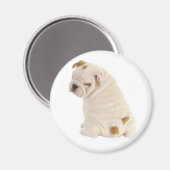 Liefde Engels Bulldog Puppy Hondenmagneet Magneet (Voorkant / Achterkant)