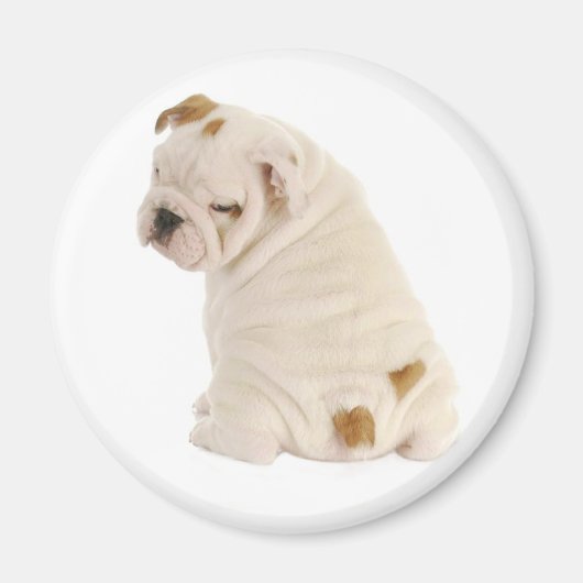 Liefde Engels Bulldog Puppy Hondenmagneet Magneet (Voorkant)