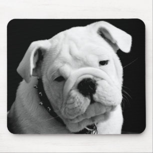 Liefde Engelse Bulldog Puppy Hond Foto Muismat