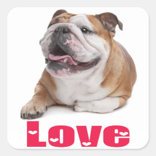 Liefde Engelse Bulldog Puppy Hond Groet Sticker