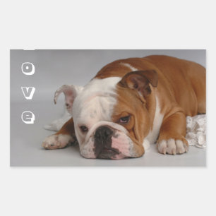 Liefde Engelse Bulldog Puppy Hond Groet Sticker