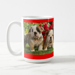 Liefde Engelse Bulldog Puppy Hond Koffiekop Mok