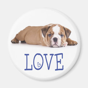 Liefde Engelse Bulldog Puppy Hond Magneet