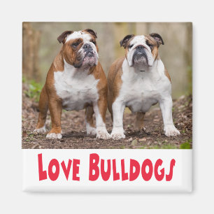 Liefde Engelse Bulldog Puppy Hond Magneet