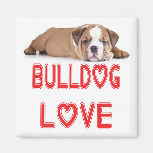 Liefde Engelse Bulldog Puppy Hond Magneet