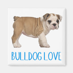 Liefde Engelse Bulldog Puppy Hond Magneet