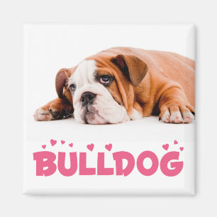 Liefde Engelse Bulldog Puppy Hond Magneet