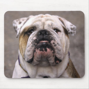 Liefde Engelse Bulldog Puppy Hond Muismat