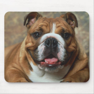 Liefde Engelse Bulldog Puppy Hond Portret Muismat