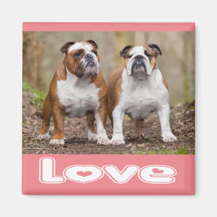 Liefde Engelse Bulldog Puppy Hond Roze Magneet
