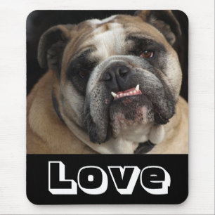 Liefde Engelse Bulldog Puppy Hond Zwart Muismatje Muismat