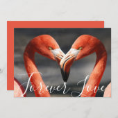 Liefde Flamingos Oranje Reddish Valentine Day Feestdagenkaart (Voorkant / Achterkant)