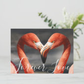 Liefde Flamingos Oranje Reddish Valentine Day Feestdagenkaart (Staand voorkant)