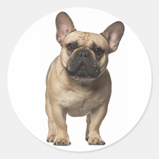 Liefde Franse Bulldog Bruin Puppy Hond Ronde Sticker (Voorkant)