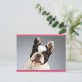 Liefde Franse Bulldog Puppy Dog Post Kaart (Staand voorkant)