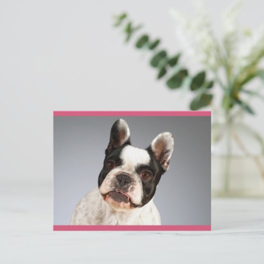 Liefde Franse Bulldog Puppy Dog Post Kaart (Staand voorkant)
