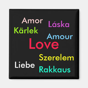 Liefde frietmaget magneet