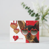 Liefde. Funny Dog Valentijnsdag Feestdagenkaart (Staand voorkant)