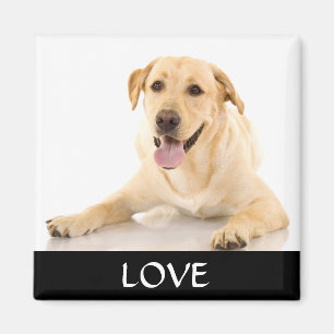 Liefde Geel Labrador Retriver Magneet