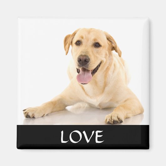 Liefde Geel Labrador Retriver Magneet (Voorkant)
