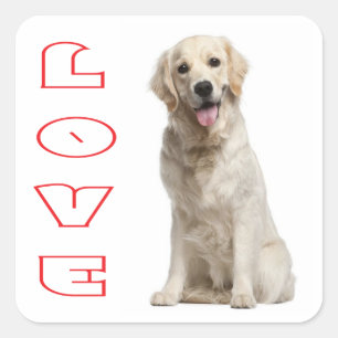 Liefde Golden Retriever Puppy Hond Stickers