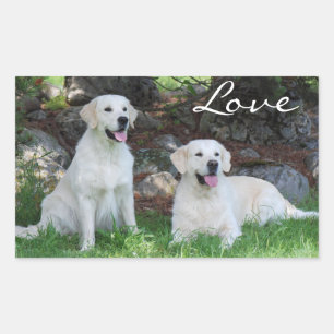 Liefde Goud Retriever Puppy Hond Stickers