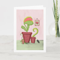 Liefde groeit hier:  Ongewone potplanten