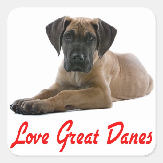 Liefde Grote Dane Puppy Dog Sticker / Seal (Voorkant)