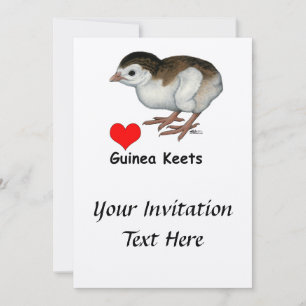 Liefde Guinea kuikens Kaart