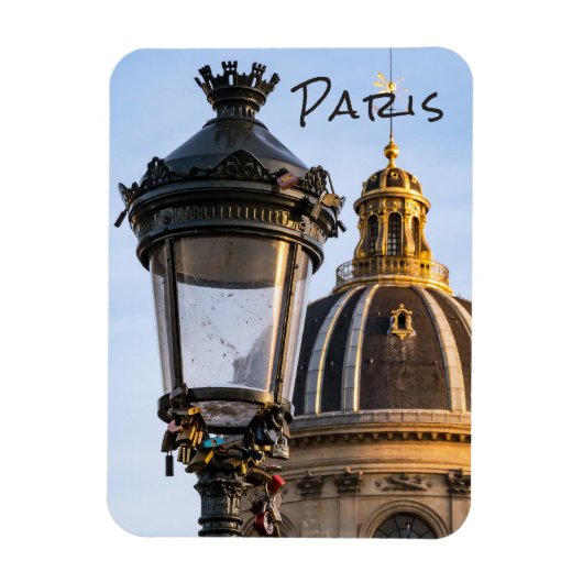 Liefde hanglocks op de Pont des arts in Parijs Magneet (Verticaal)